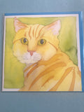 Cat Collection of Cards - 6 Designs