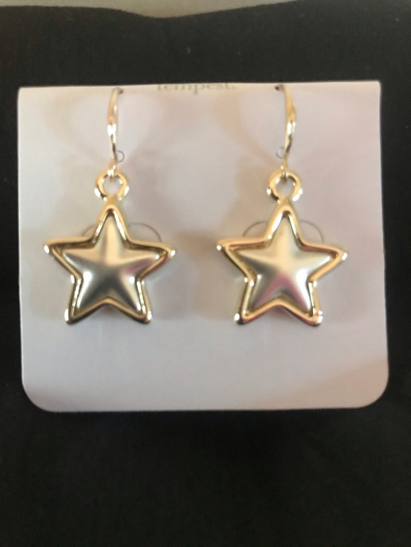 Silver Star Earrings with Gold Surround