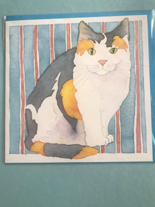 Cat Collection of Cards - 6 Designs