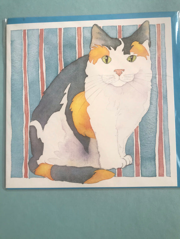 Cat Collection of Cards - 6 Designs