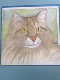 Cat Collection of Cards - 6 Designs
