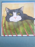Cat Collection of Cards - 6 Designs